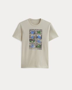 Alternative view of The Everlane x Parks Project Essential Organic Crew | Forged Iron / Birch / Granada Sky Blue / Green