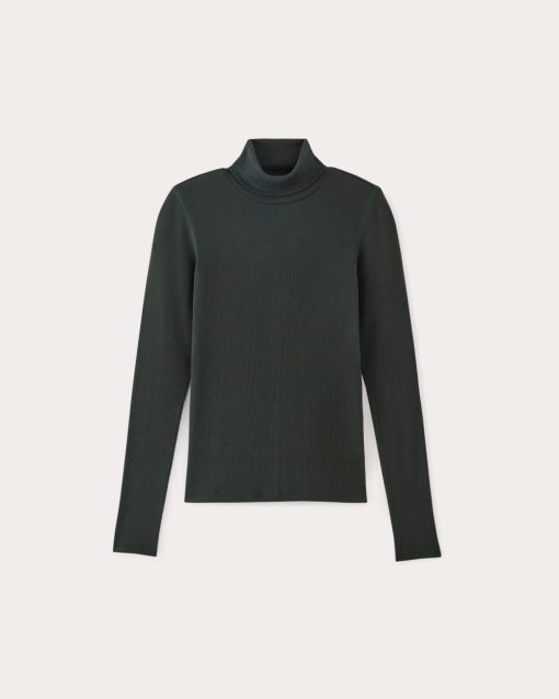 Alternative view of The Luxe Rib Turtleneck | Scarab