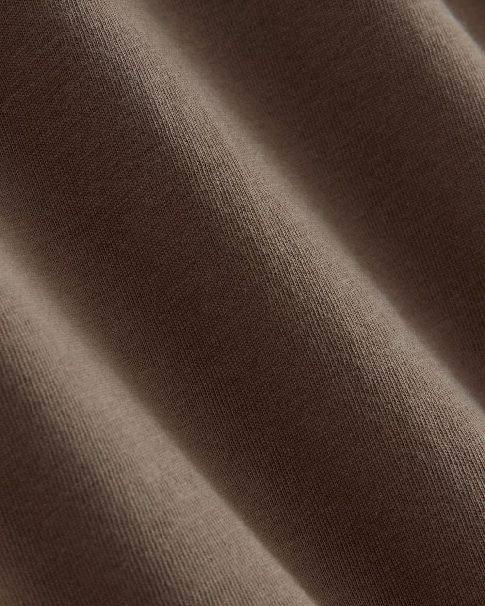 The Everlane x Parks Project Essential Organic Crew | Brown / Green / Forged Iron - Image 3