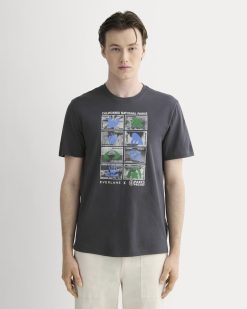 The Everlane x Parks Project Essential Organic Crew | Forged Iron / Natural / Granada Sky Blue / Green
